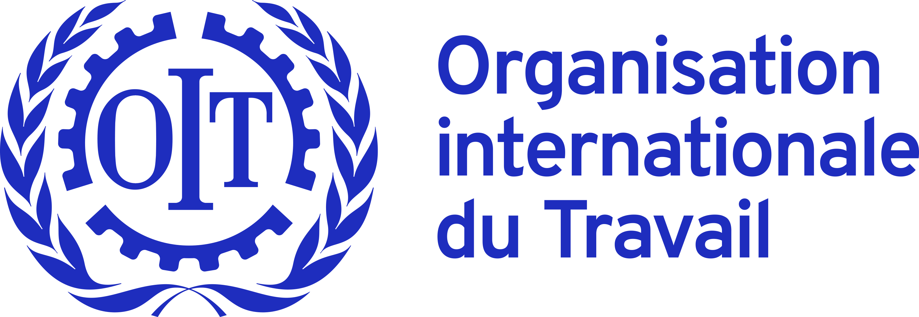 organisation international du travail
